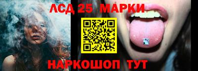 СК Гатчина