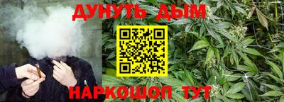 СК Гагарин