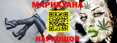 СК Гатчина