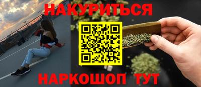 СК Гатчина