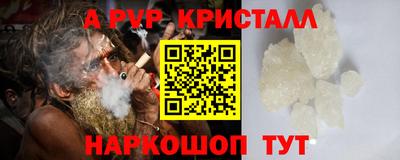 СК Гагарин