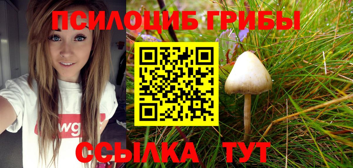 где продают   Галлюциногенные грибы MAGIC MUSHROOMS  Вход с VPN  Гулькевичи 