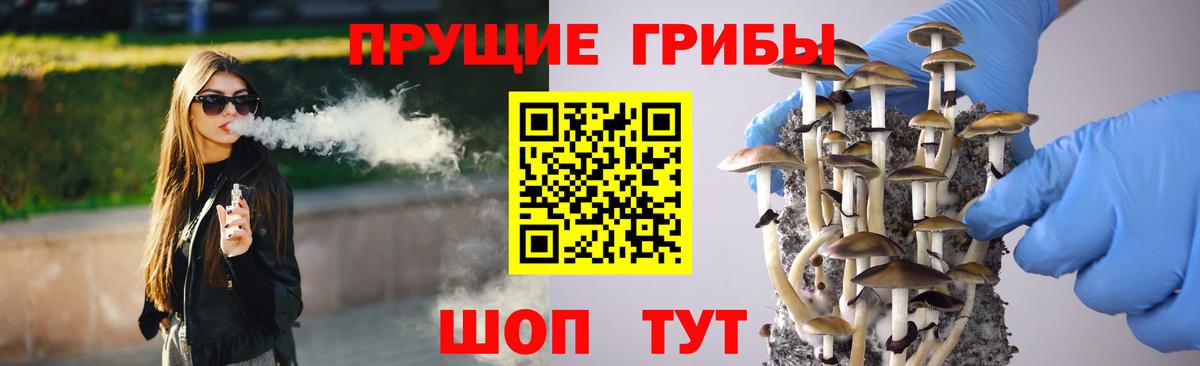 Галлюциногенные грибы Psilocybine cubensis Гулькевичи