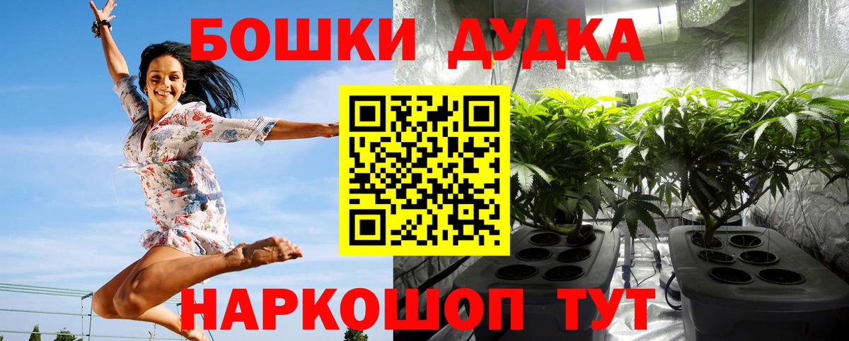 Бошки Шишки гибрид  Шишки марихуана сатива  Гулькевичи  Бошки Шишки OG Kush  Вход с VPN 